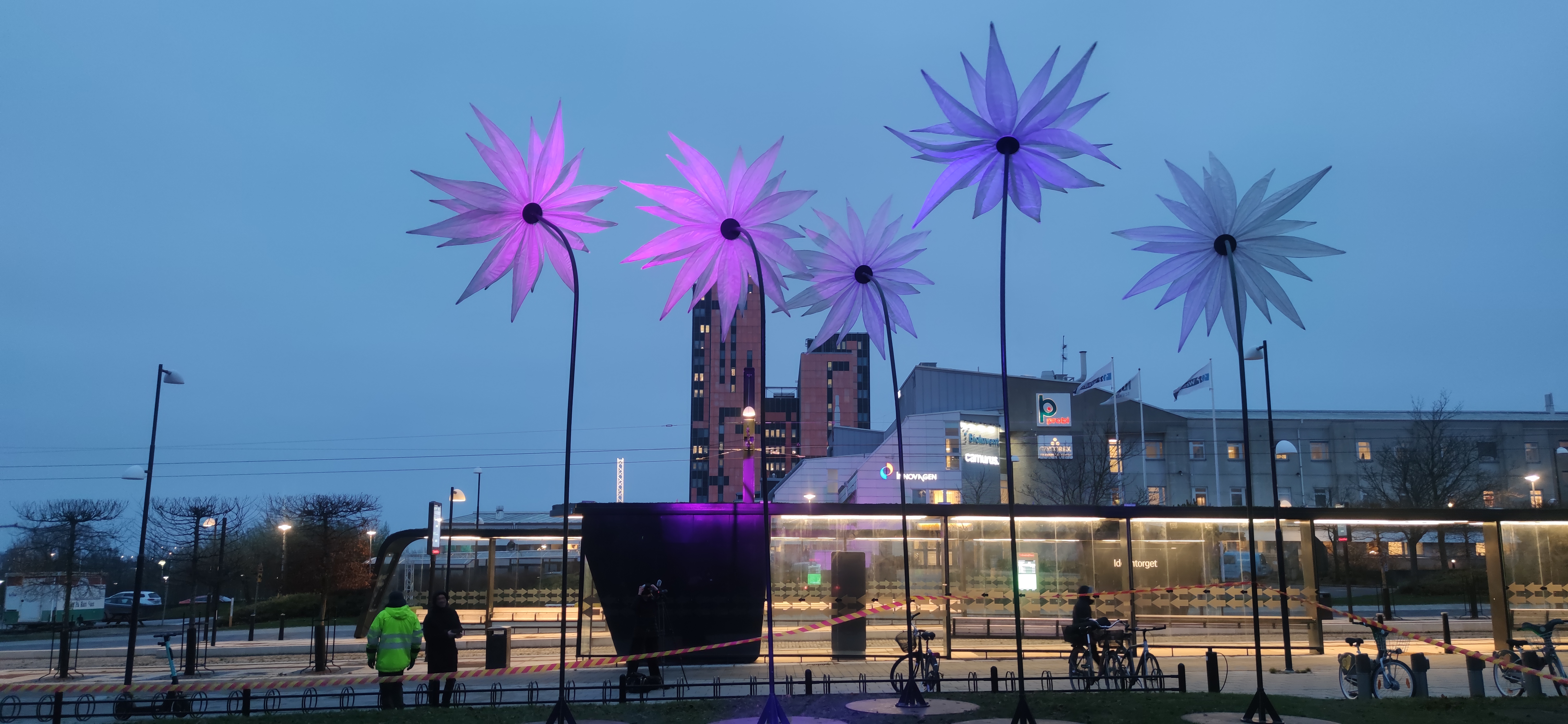 Blommor – lysande ljusinstallation på ljusfestival