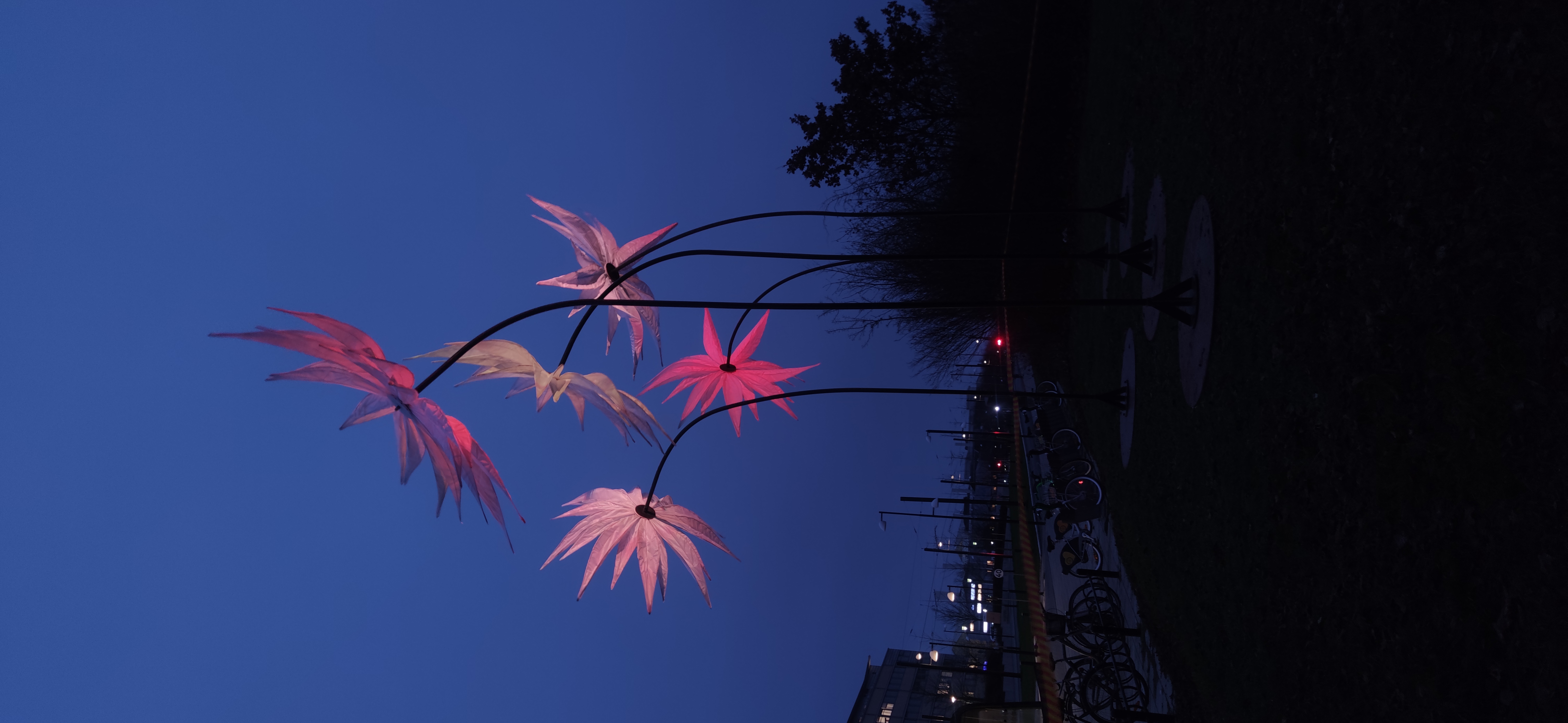 Blommor installation i mörkret
