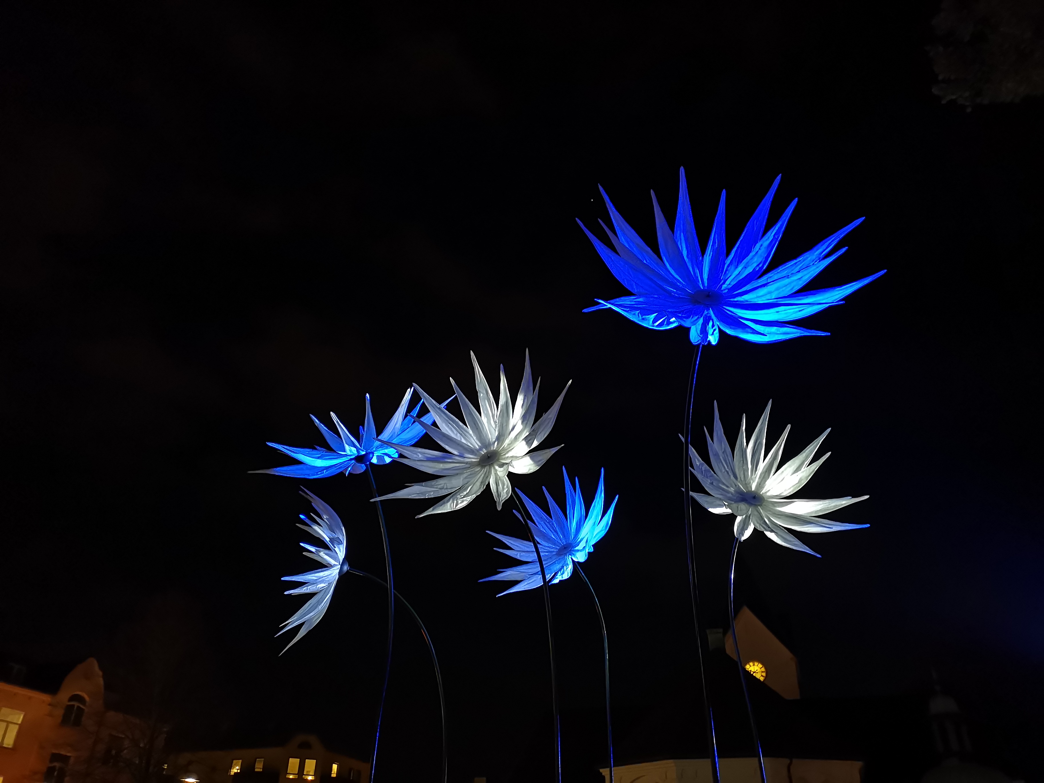Lysande blommor installation