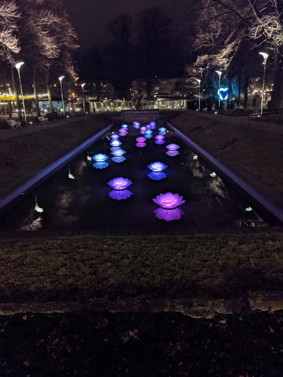 Näckrosor i Folkets Parks fontäner